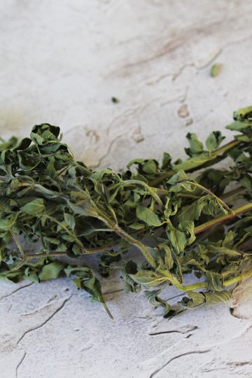 a sprig of dried oregano