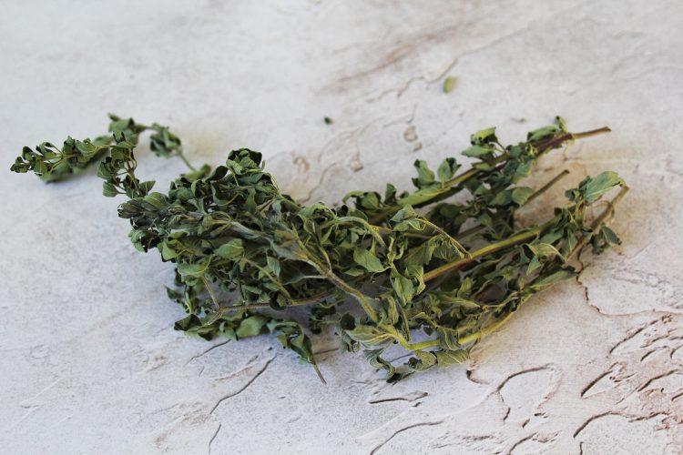 a sprig of dried oregano