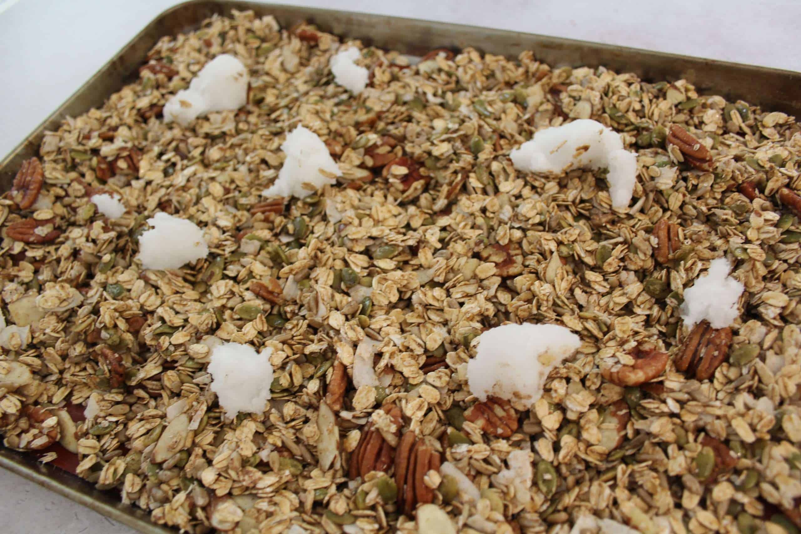 granola step 4 granola step 4