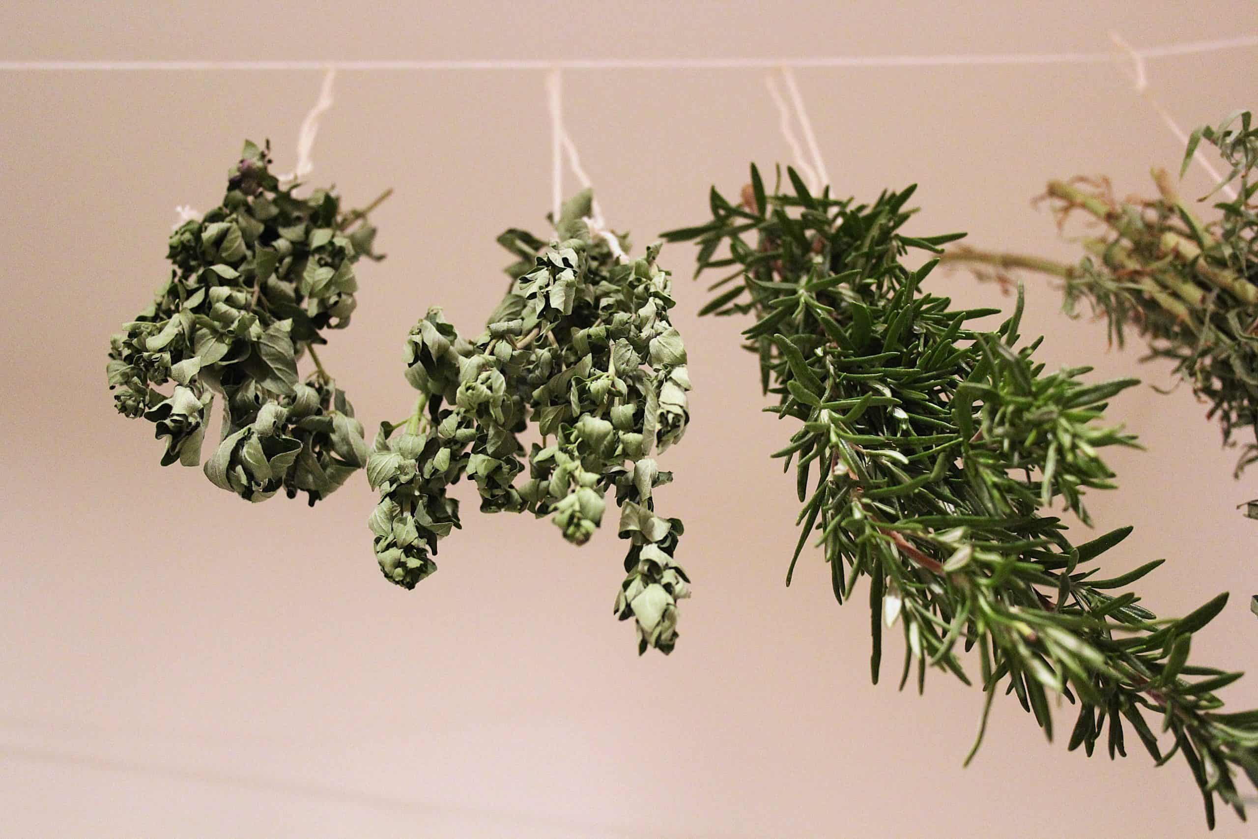 dried herbs hanging off a string
