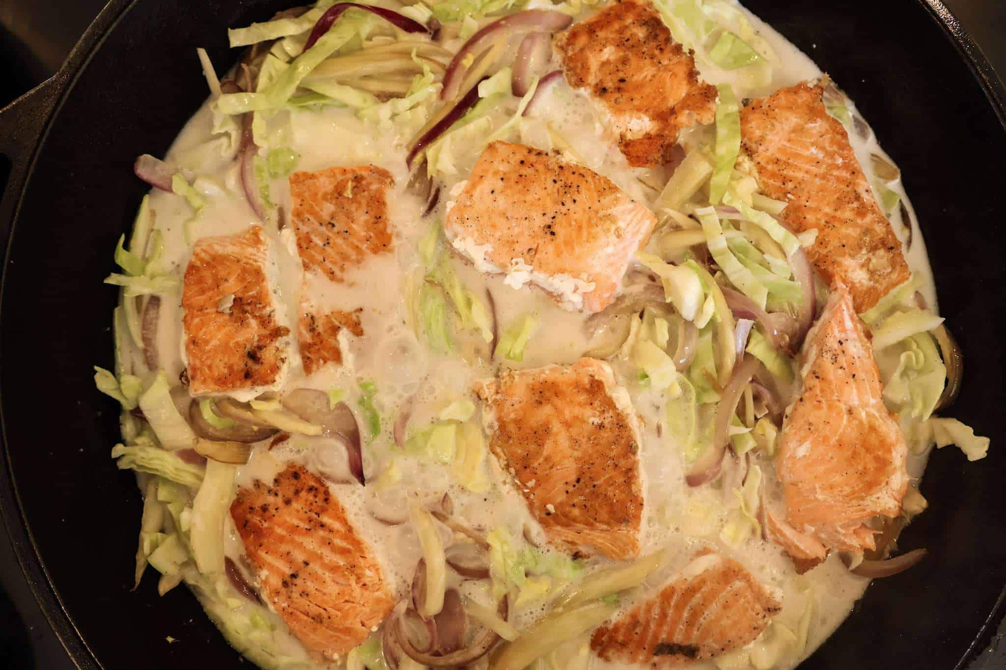sliced and sauteed red onions, fennel, green cabbage, salmon, ginger and garlic in coconut milk simmering in a cast iron pan