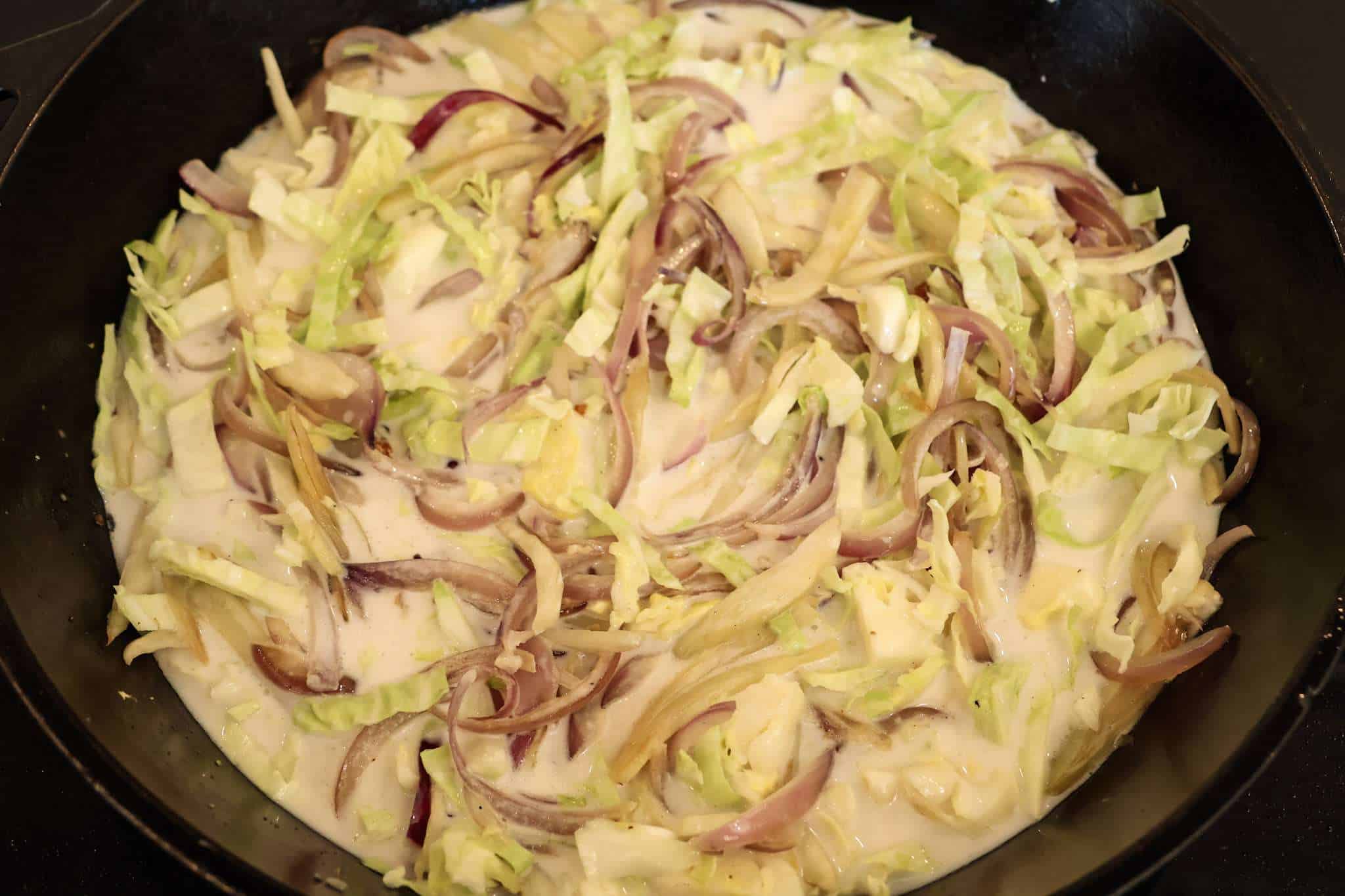 sliced and sauteed red onions, fennel, green cabbage, ginger, and garlic in coconut milk simmering in a cast iron pan