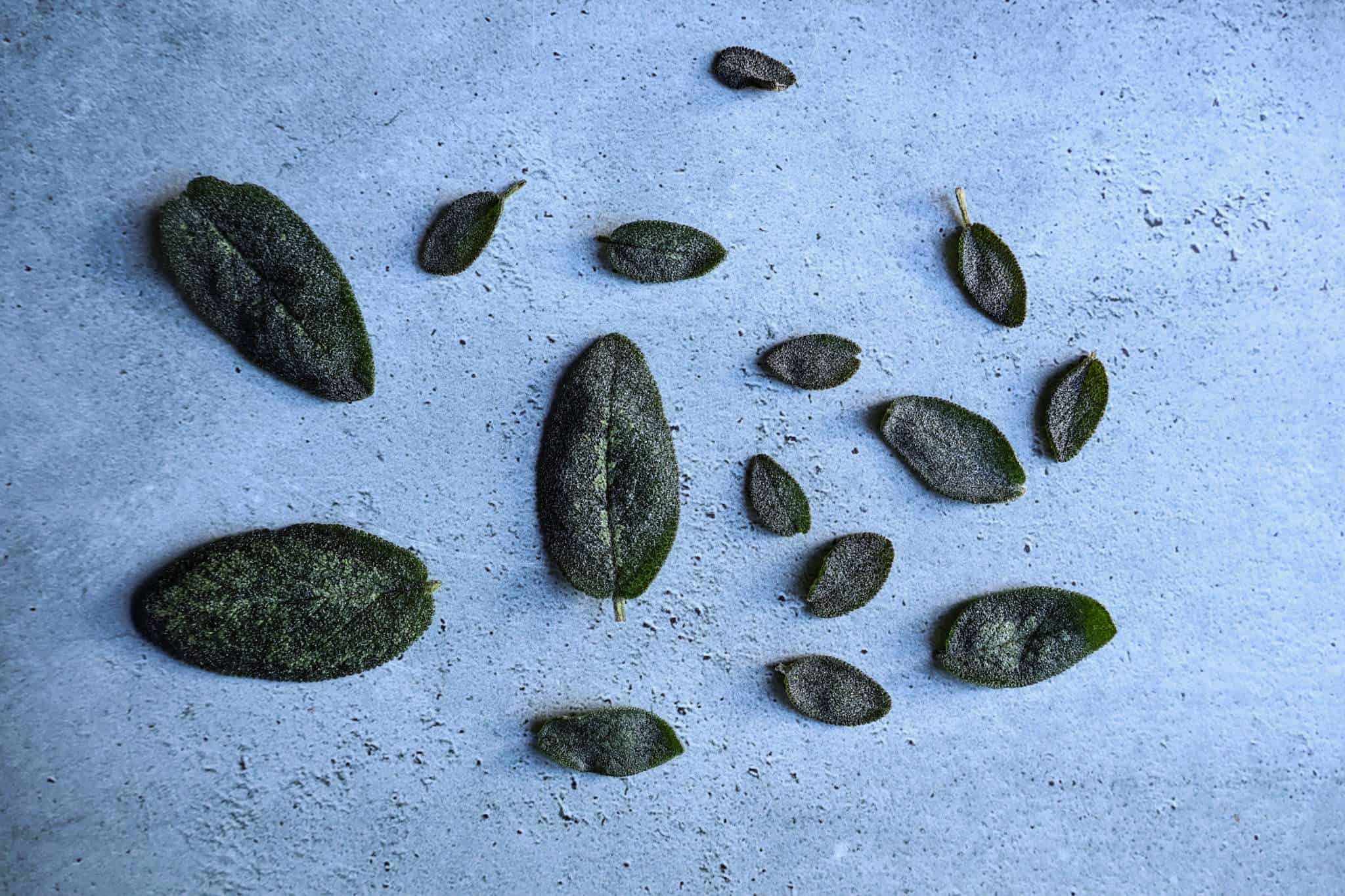 fried sage leaves on a concrete style surface
