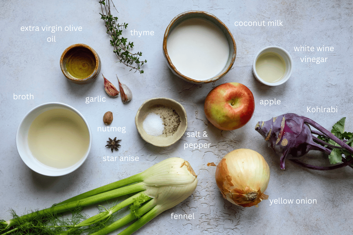 All ingredients for spiced kohlrabi, fennel and apple soup are displayed on a concrete style surface