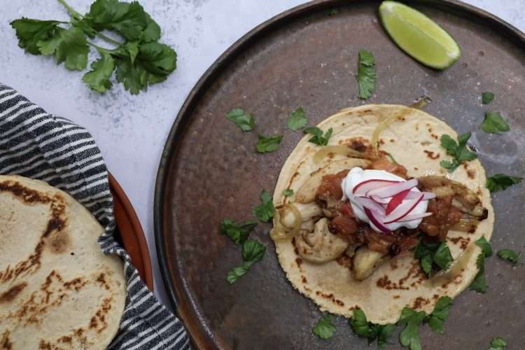 A rustic dark colored plate on a concrete style surface - the plate is topped with a grain-free tortilla with sheet pan chicken and onions, spiced rhubarb chutney, a dollop of coconut yogurt, a sprinkle of cilantro, and radish sliced matchstick size. A tortilla warmer can be seen in the bottom right side of the picture and a small bundle of cilantro is also in the background