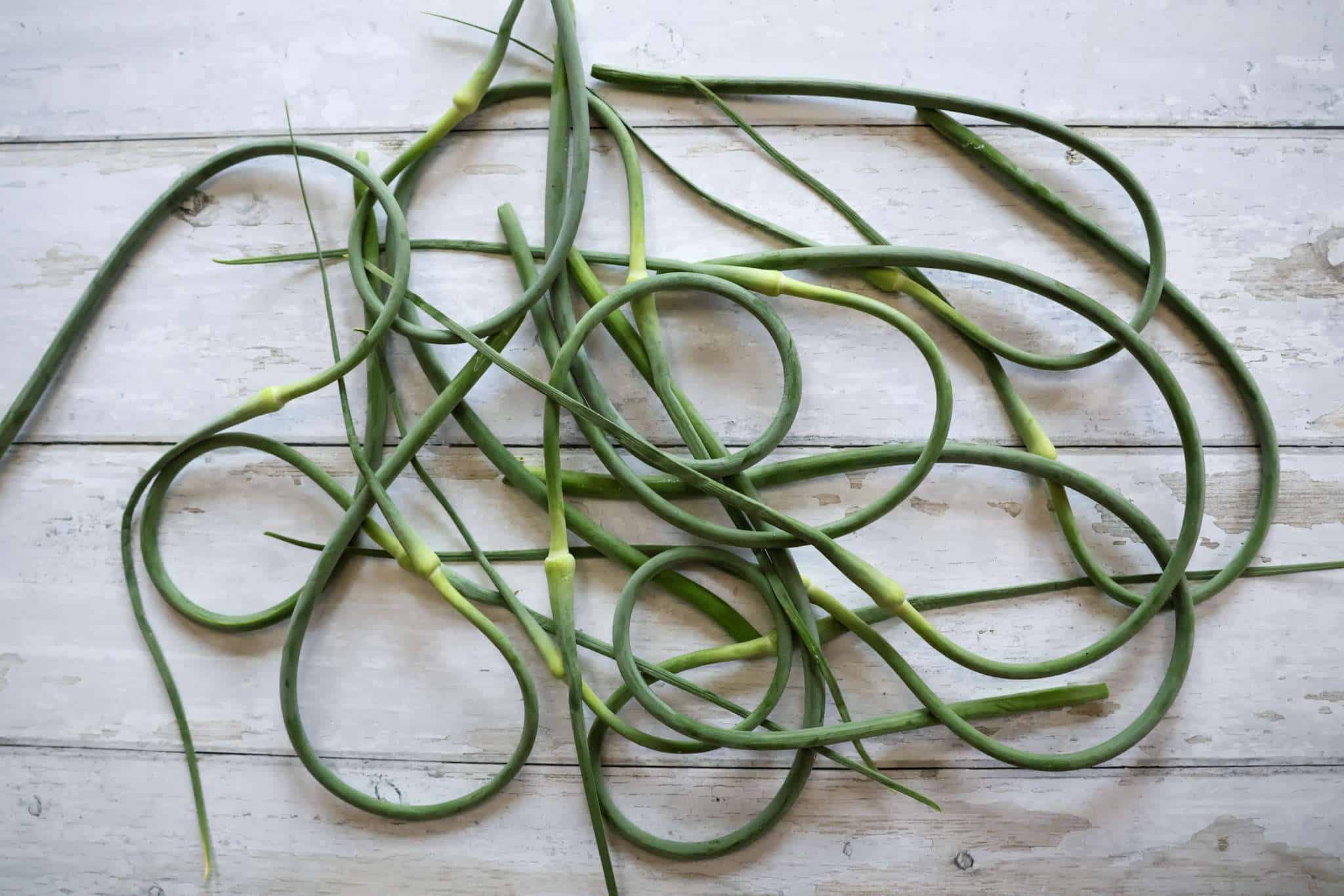 Garlic scapes on a white wooden surface
