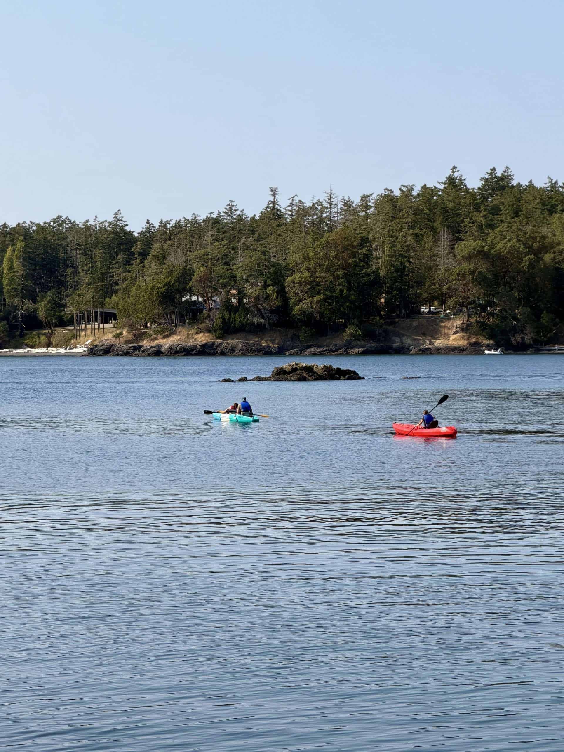 Kayakers in the salish sea