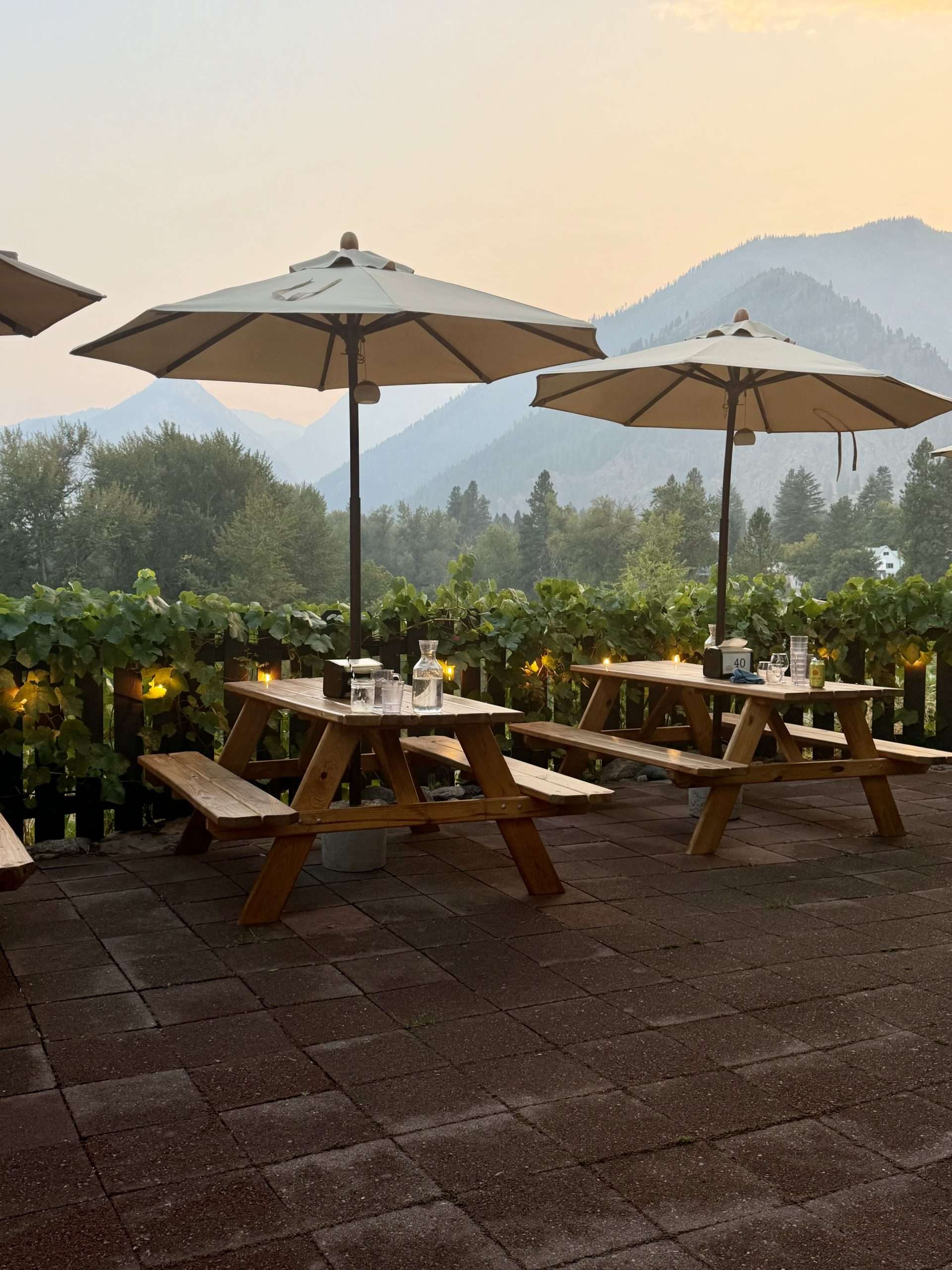 A restaurant patio with picnic tables and umbrellas and misty mountains in the background