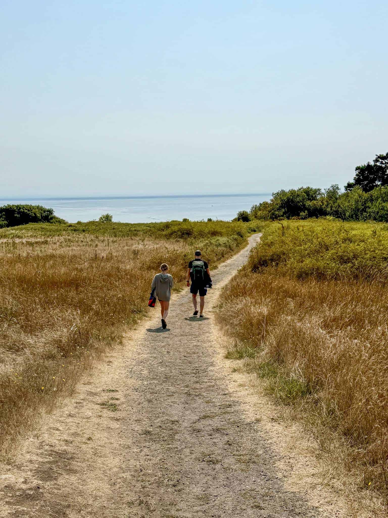 A father and daughter walking down a path toward the ocean
